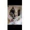  fashion kaftan  fashion